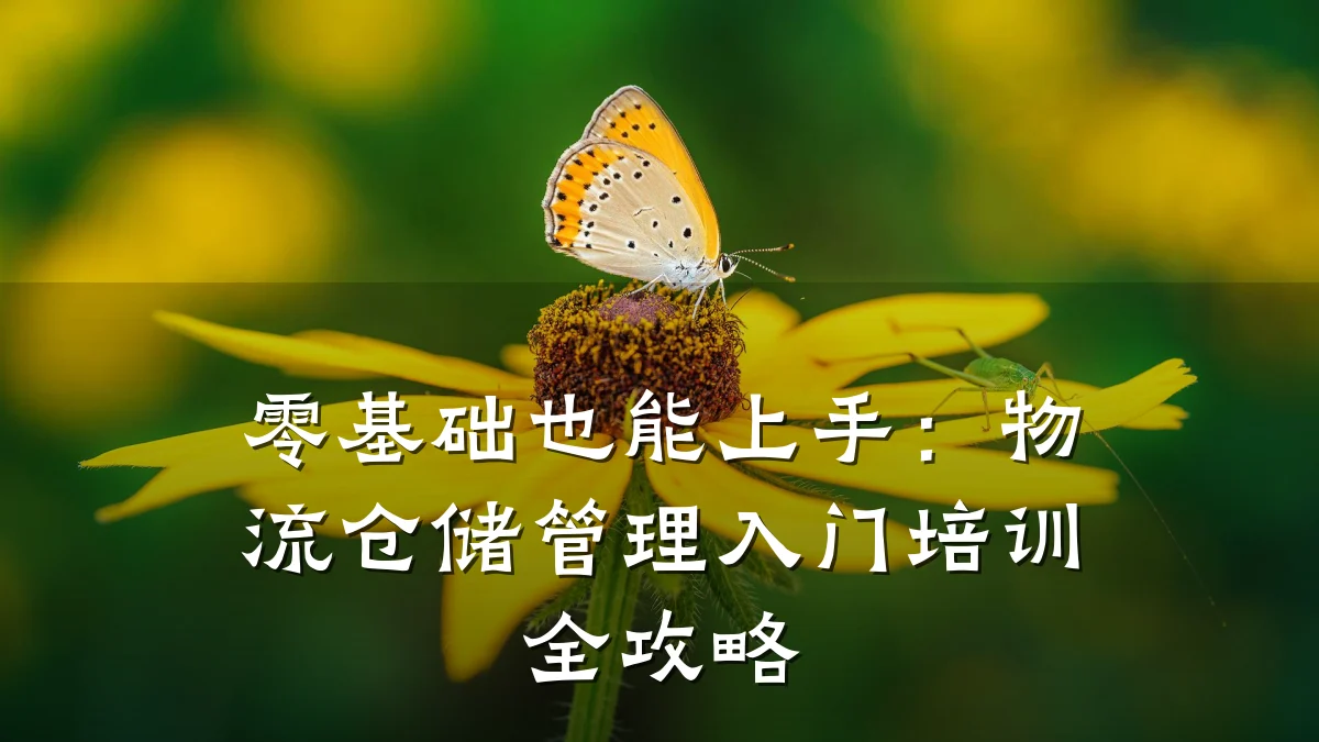 零基础也能上手:物流仓储管理入门培训全攻略
